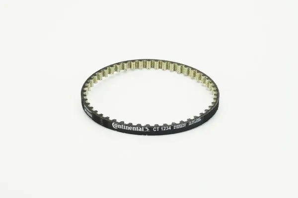 Timing Belt